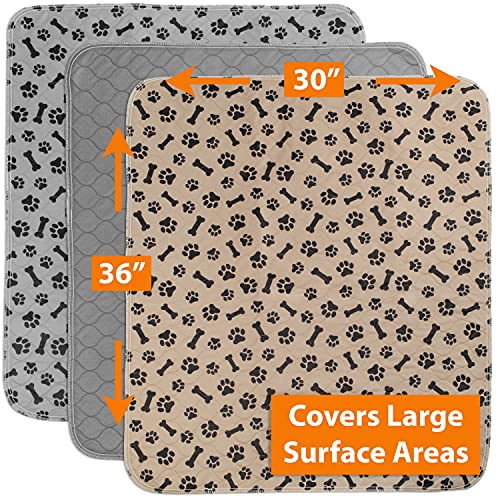 Jungle Creations Washable Pee Pads For Dogs (3-Pack) Reusable Waterproof Potty Training Mats For Puppy Playpen, Whelping Box, Crate Liner For Small, Medium, Large, And Xl Pets (30" X 36") #TOP2