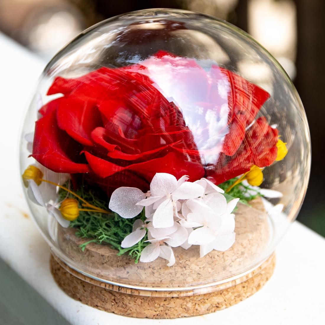 Rainbow Preserved Real Rose in a Circular Glass Cover， with Wooden Base, a Gift for Valentine's, Mother's Day Christmas, Anniversary, Girlfriend Birthday, （Red） - Image 4
