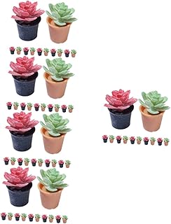 Toyvian 60 Pçs Miniaturas De Vasos De Plantas Para Casas De Bonecas Acessórios Para Playset Chaveiro De Plástico Pequenas Estatuetas De Modelagem De Plantas Suculentas Para Vasos De