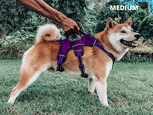 Tuff Pupper Updated For 2022 - Tracker No Escape Dog Harness | Dual Escape Proof Leash Attachments | 5 Point Adjustable Fit Harness For Dogs | Padded Dog Harness For Comfort | Handle Dog Lift Harness #TOP6