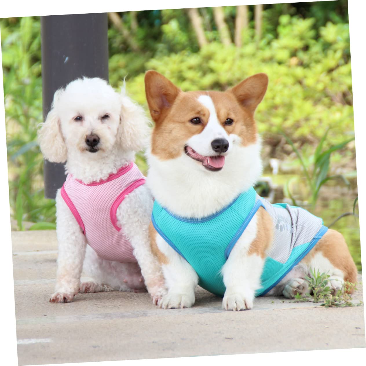 INOOMP 3stücke Kühlweste Für Hunde Atmungsaktive Sommerkleidung Uv-Schutz Hautfreundliches Material Für Partys Und Ausflüge Frischem