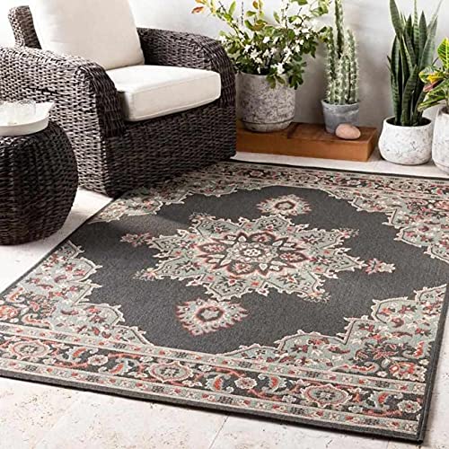 Mark&Day Outdoor Rugs, 2x12 Lyla Traditional Indoor/Outdoor Black Runner Area Rug, Non Shedding Black Beige Carpet for Patio, Porch, Deck, Bedroom, Living Room or Kitchen (2'5