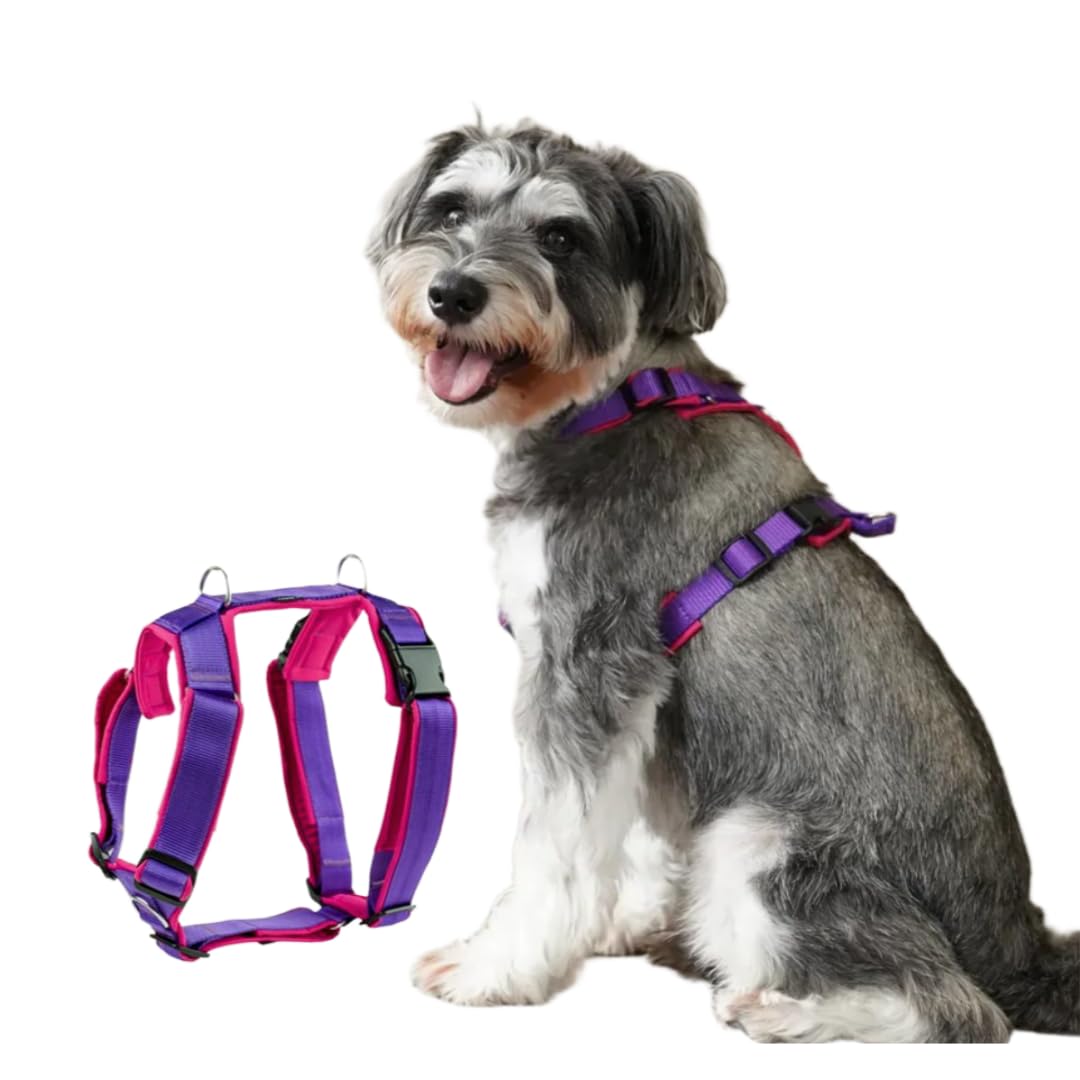 Amazon | 4dox 犬用ハーネス ドッグトレーナー推奨 負担軽減＆抜け