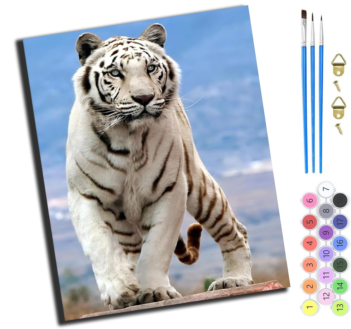 XIAOYOUQIAN White Tiger,Paint by Numbers Kits,40Cm X 50Cm,DIY Acrylic Painting for Adults and Kids,with Paints Brushes and Card Sized Magnifier,-Frameless