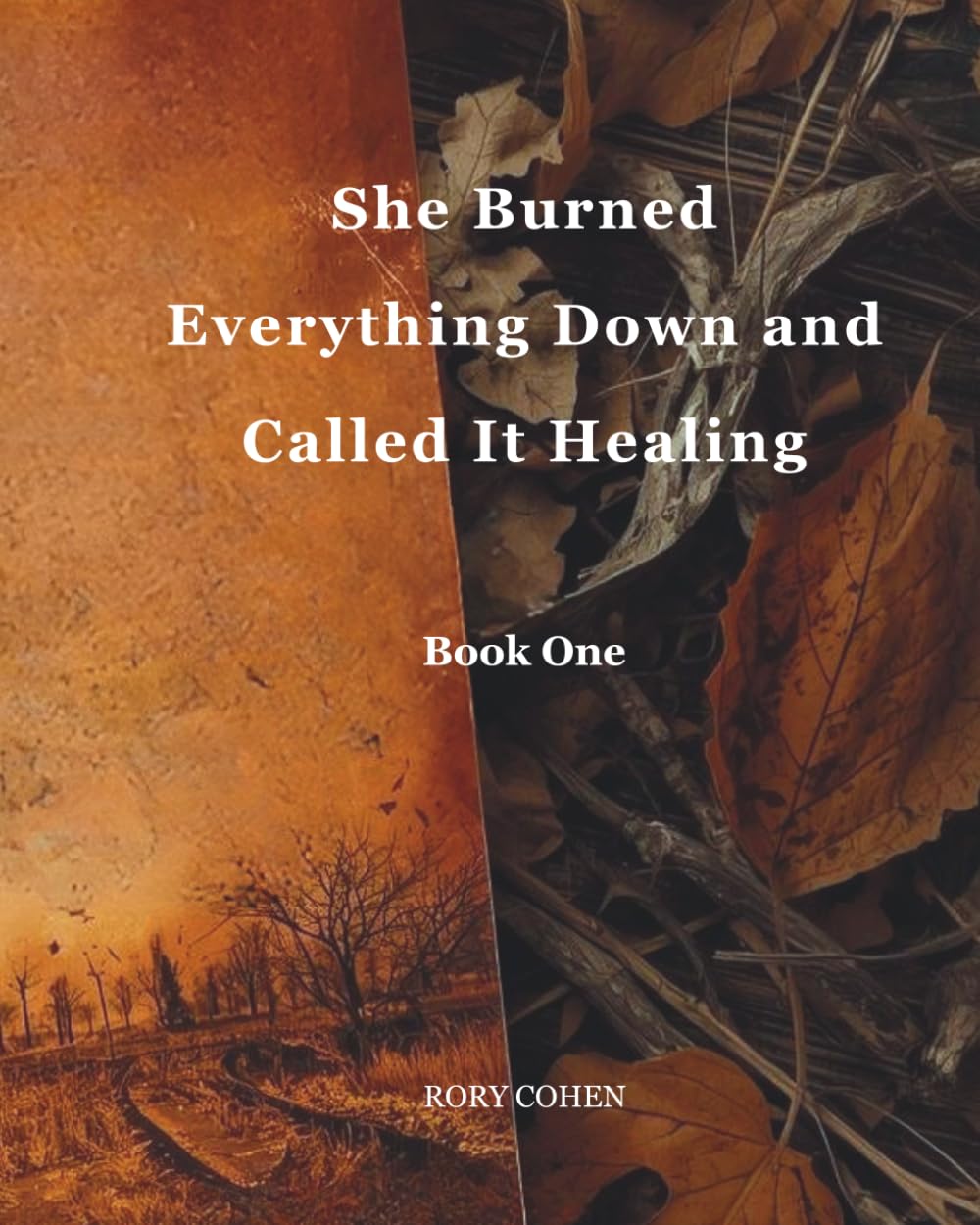 She Burned Everything Down and Called It Healing: 1 (Rory Cohen - Two worlds , one rise and what comes after)