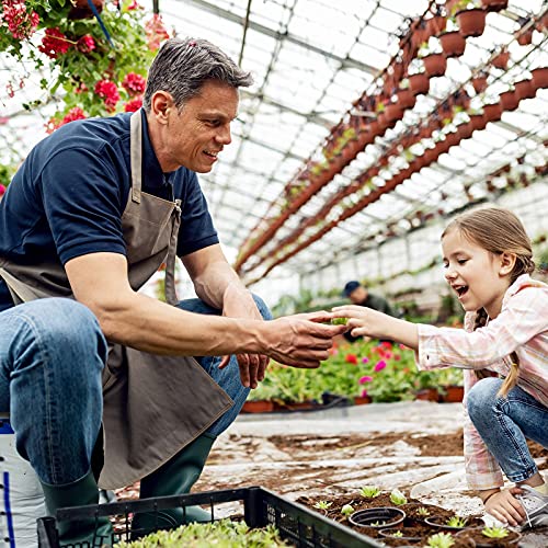 Peat Pots Seed Starter Trays,Peat Pots For Seedlings Packs Of 12X10 Cell Organic Biodegradable Plant Starter Trays For Vegetable & Flower,Indoor/Outdoor, With 15 Plastic Plant Labels #TOP5