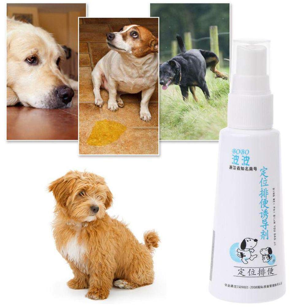 Buy Training Spray Sale Dog Potty Training Spray Dog Potty Tainer Pet