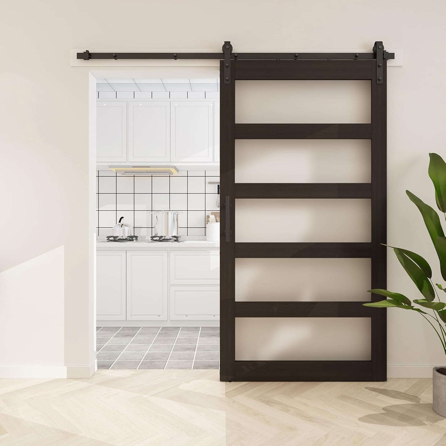 BARNSMITH Glass Barn Door