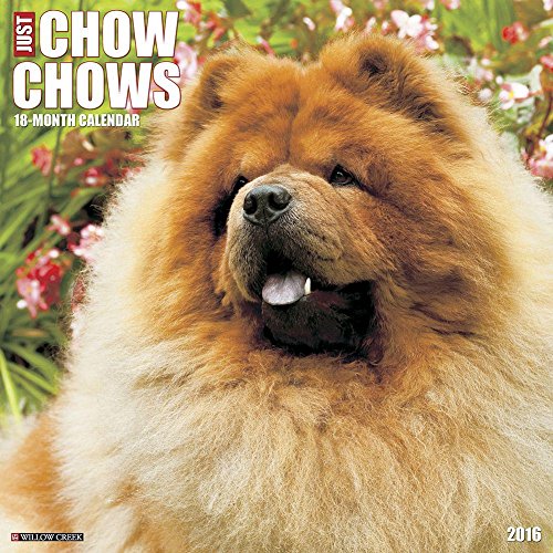 Chow Chows 2016 Wall Calendar