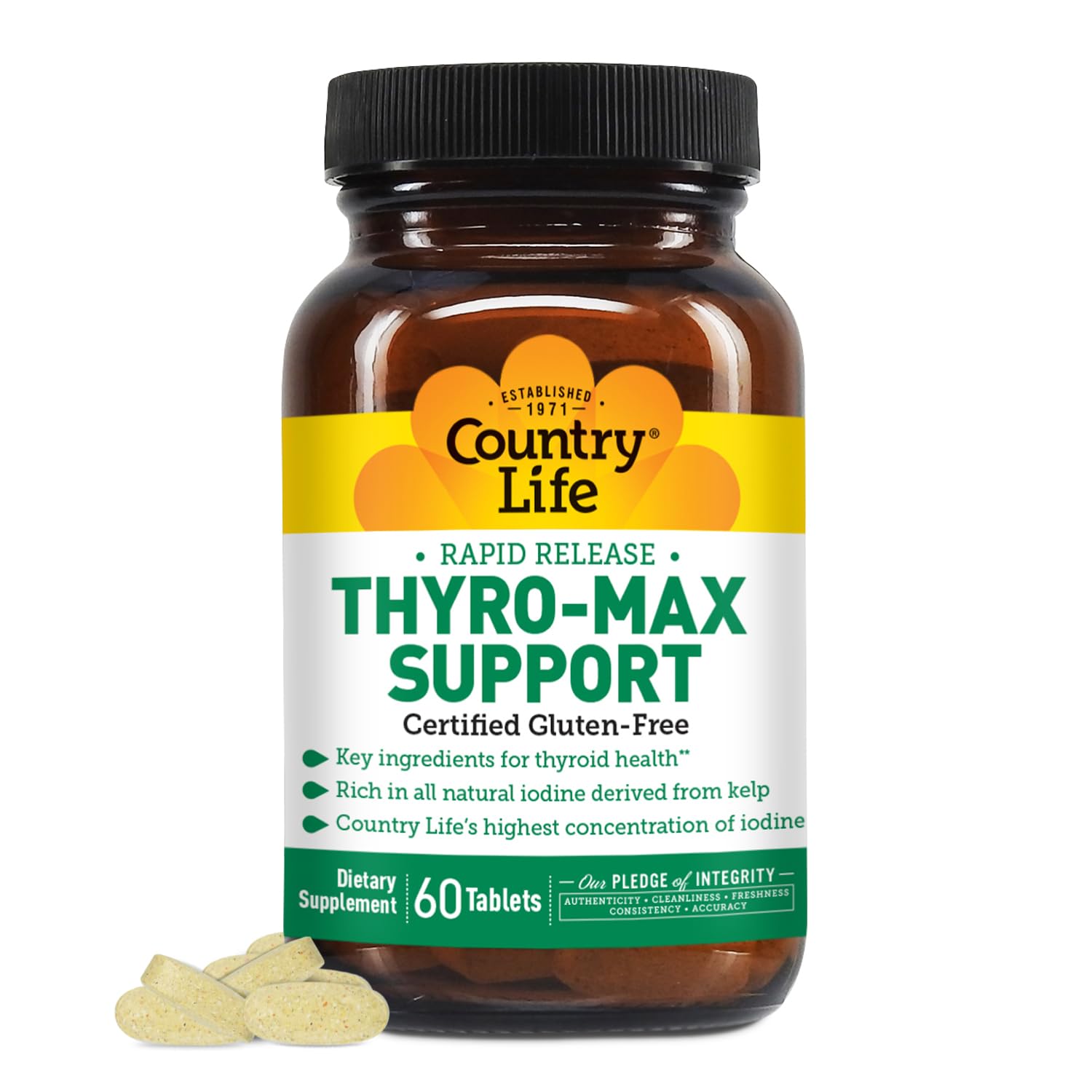 Thyro-Max Support - Kelp-Derived Iodine & L-Tyrosine Thyroid Supplement for Men and Women - B Vitamins, Gluten-Free, Vegan, Kosher - 60 Capsules