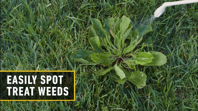 Image of Ortho WeedClear Weed Killer for Lawns Refill - Herbicide Lawn Weed Killer, Kills over 250 Listed Weeds Including Dandelion and Clover, 1 Gal.