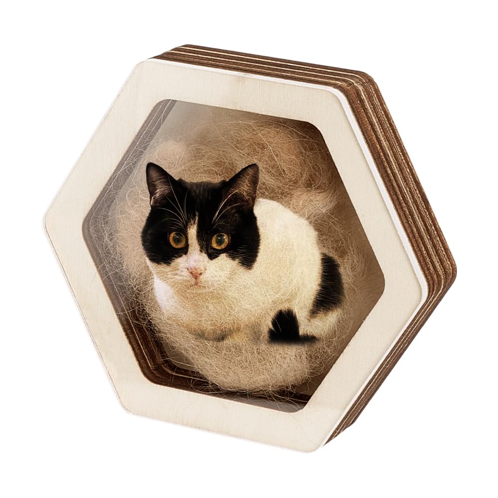 PH PandaHall Pet Hair Keepsake Box 3.8x4.3 inch Wood Memorial Box Hexagon Pug Dog Hair Keepsake Boxes Pet Fur Gifts for Dog Cat Memorial Boxes for Pet Lover Family Friends Storing Hair Teeth Ashes