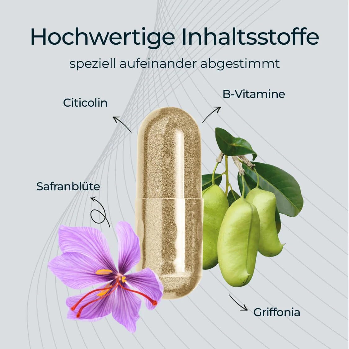 Lumiprovin – Kapseln 60 Stück – 3-Stufen-Formel mit Citicolin Magnesium,Safran & 5-HTP – mit Vitamin B1, B6, B12, Zink, Folsäure – 2 Kapseln täglich I Kann psychische Funktion unterstützen