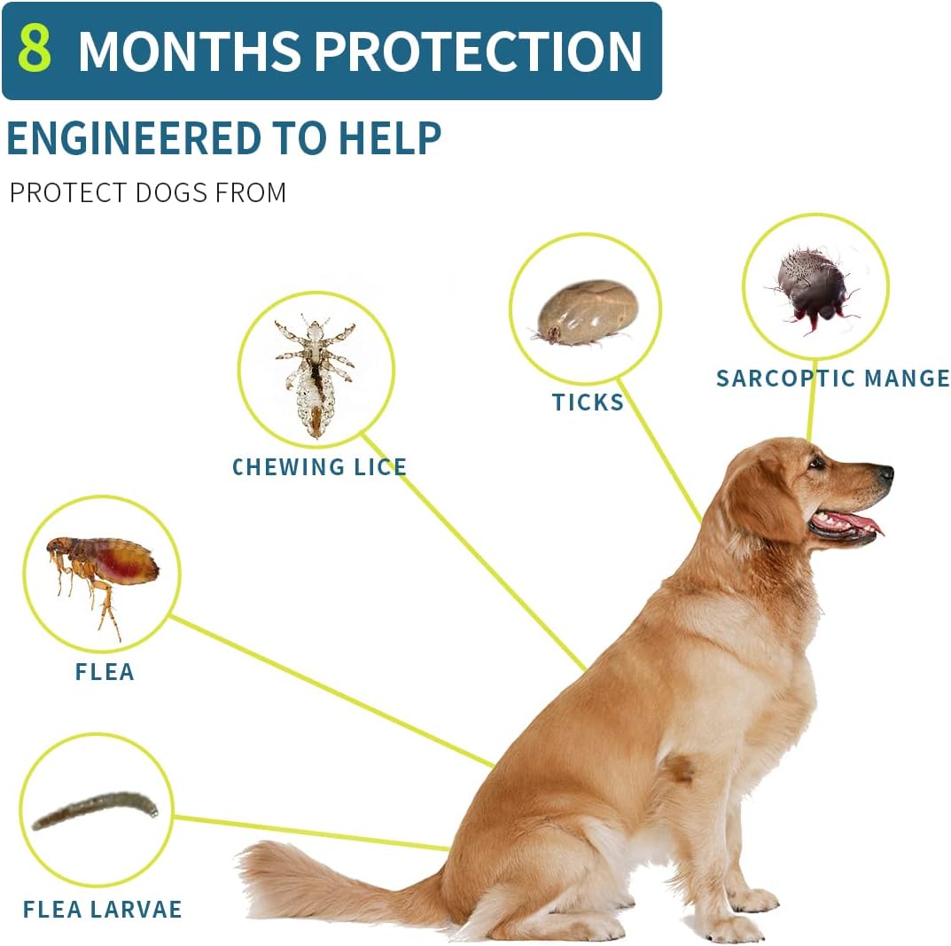 Can A Flea Collar Make A Dog Itch