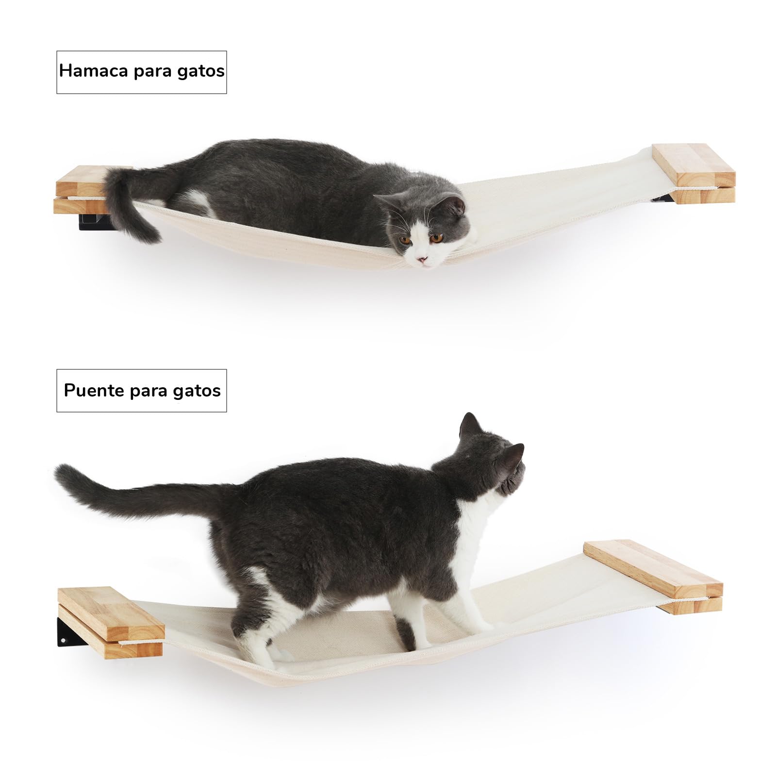 FUKUMARU Hamacas y Estantes para Gatos, 36 × 13 Pulgadas para Gatitos, Medianos y Grandes | Estantes de madera de caucho maciza, percha para ventana de gatito, fácil instalación