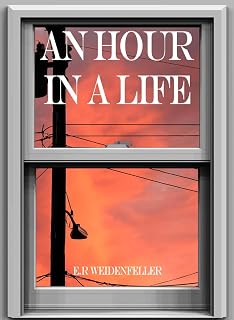 An Hour in a Life (English Edition)