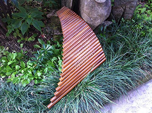 Flauta de bambú de 31 tubos, pequeña melodía G, instrumento exclusivo de flauta de boutique, flauta profesional de panpipe, flauta