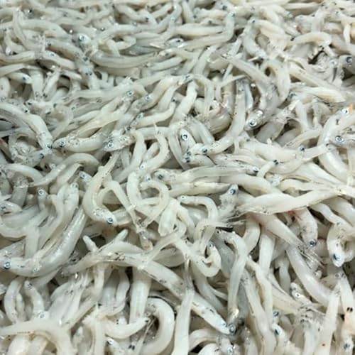 ���g�����炷 2�s�y�����Y�E�V���X�����z ���炷���E�p�X�^�E���낵�|���|�E�����g������ �y�Ⓚ�ցz