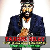 tarrus riley konzert 2019  The Best of Shashamane Reggae Dubplates (Tarrus Riley Anthems)