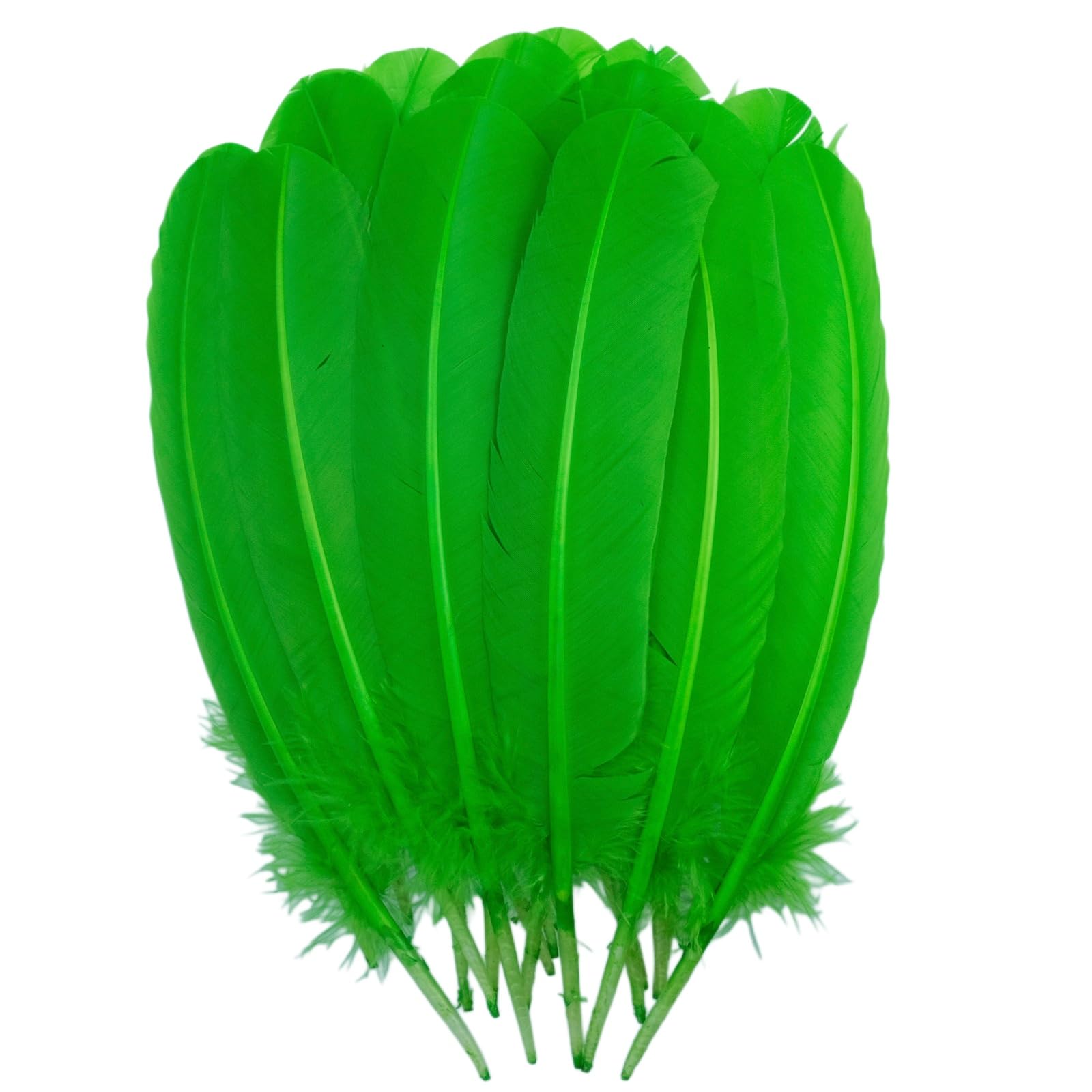 Turkey Feather 10-12 inch(25-30cm) 24pcs Feathers Bulk for Crafting DIY Natural Large Feather Crafts for Decorations (Green)