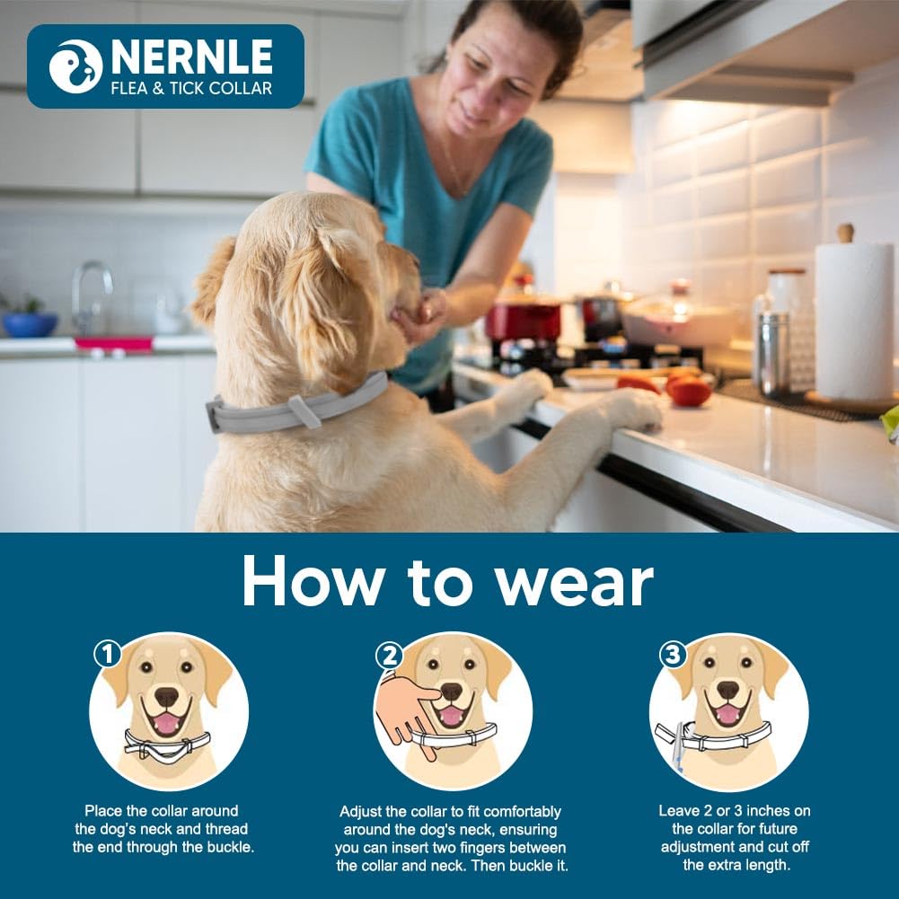 Collare per Cani Oltre 8 KG, Regolabile Collare Cane, Protezione 8 Mesi per Grande Cani, Collare per cani impermeabile 2 Pack
