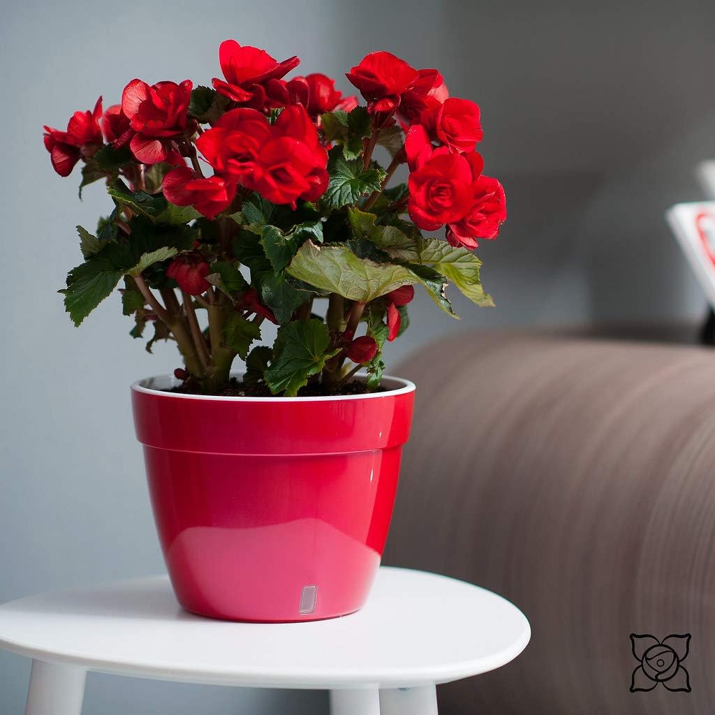 Gardenera 10.6" ASTI Self Watering Planter (Set of 3) in Menthol/White - Modern Flower Pot with Water Level Indicator for All House Plants, Flowers, Herbs, Succulents and Hanging Plants