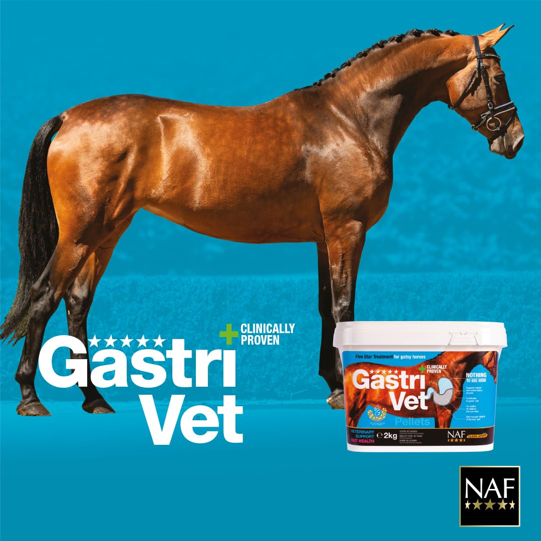 NAF Five Star GastriVet 4 kg – Fortschrittliche Magenunterstützung für Pferde – Enthält Präbiotika, Probiotika & Postbiotika – Zur Unterstützung der Magenschleimhaut & der Darmgesundheit