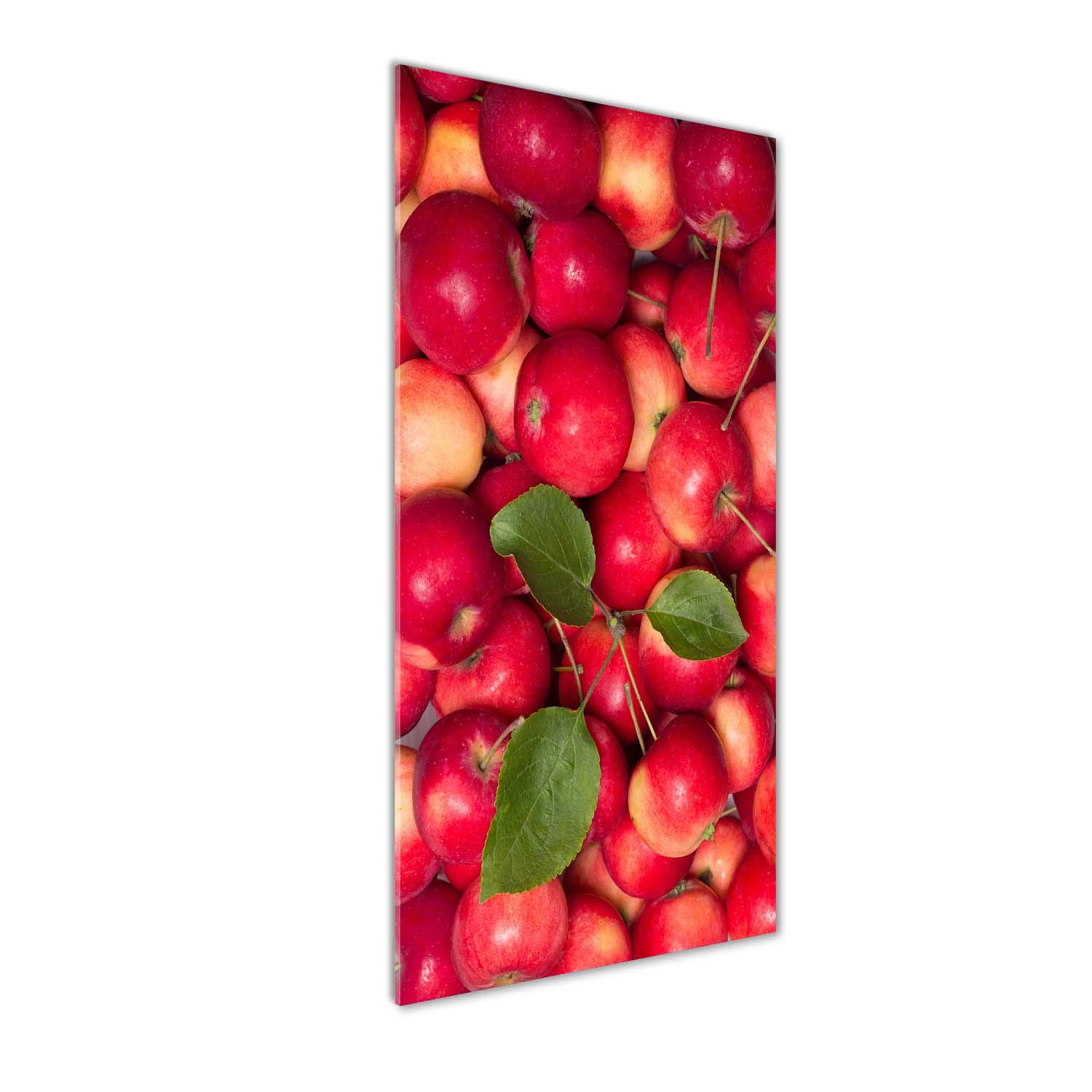 Image sur verre acrylique incassable pour sécuriser votre déco murale