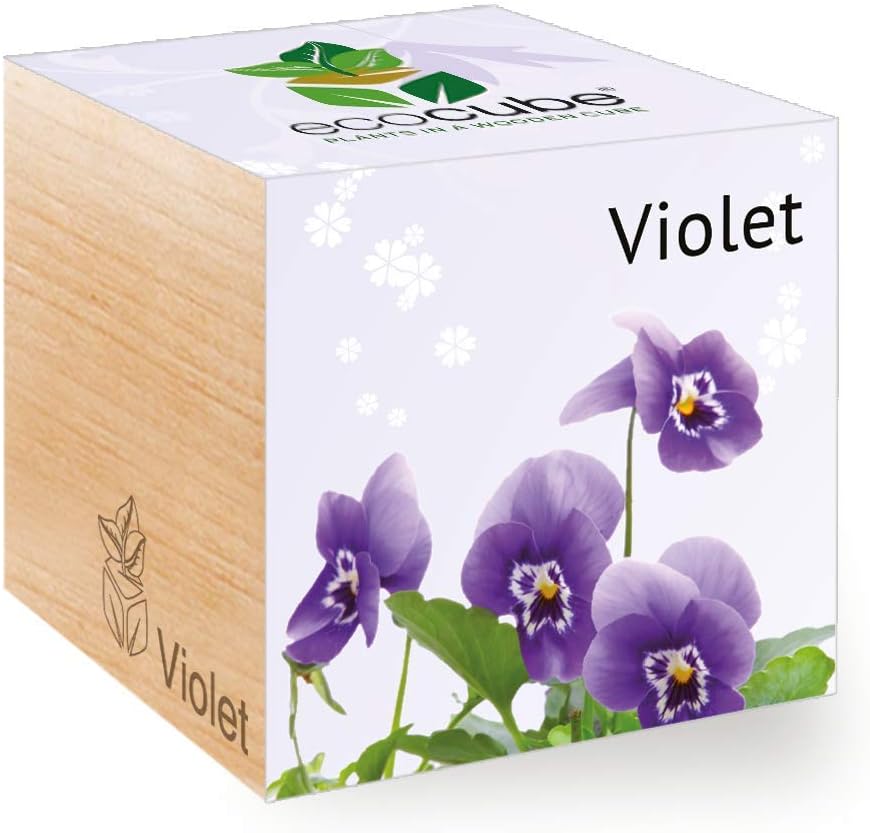 Feel Green Ecocube Violet Flower, Grow Your Own Kit, Plant in A Wooden Cube, Made in Austria, Original, Sustainable & Unusual Gift, Nylon/A
