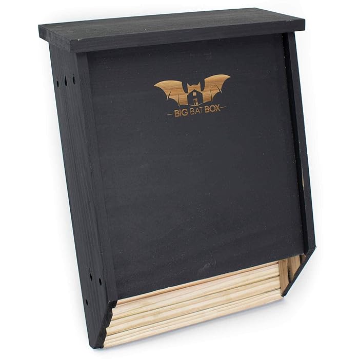 Buy BIGBATBOX Bat Houses for outdoors With our proven Bat Box design