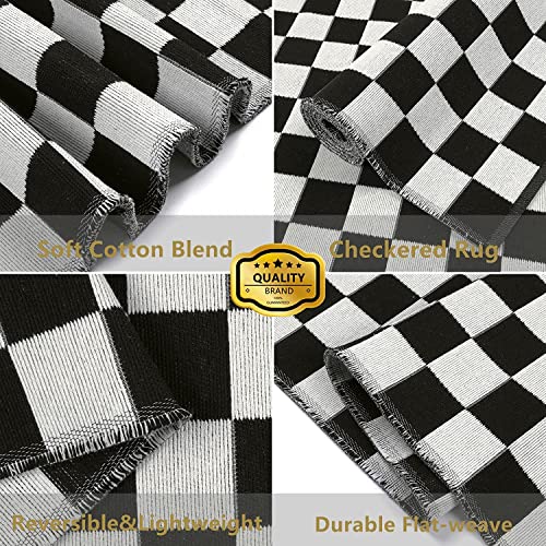 Seavish Checkered Rug - Image 4