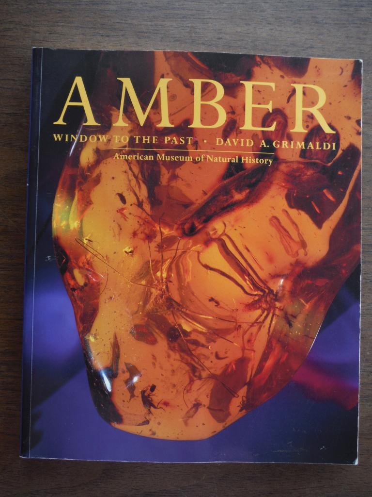 Amber: window to the past