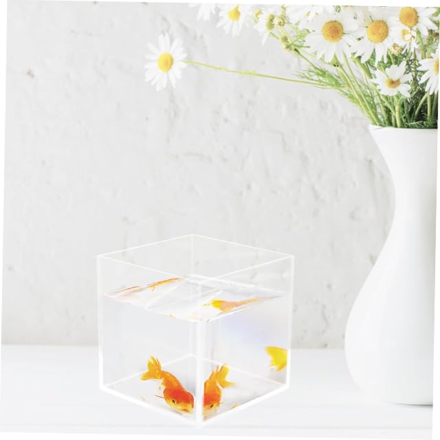 Foto 8 de 8 de Acuario de mesa pequeño, pecera cuadrada de acrílico, acuario de mesa, pecera pequeña betta, para oficina