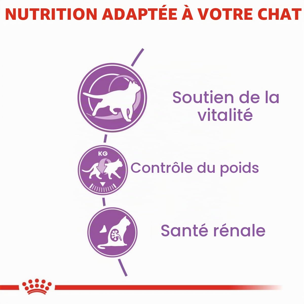 Royal Canin - Sterilised +7 Contenances : , Multi 3.5 Kg (Lot De 1)