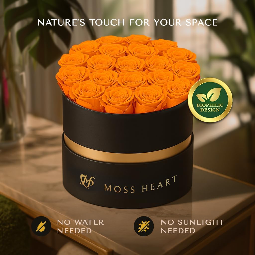 20 Petite Preserved Roses in Round Box, Forever Roses, Long-Lasting 1+ Year, No Watering, Home Décor Centerpiece, Gift for Her, Birthday or Anniversary - Image 9