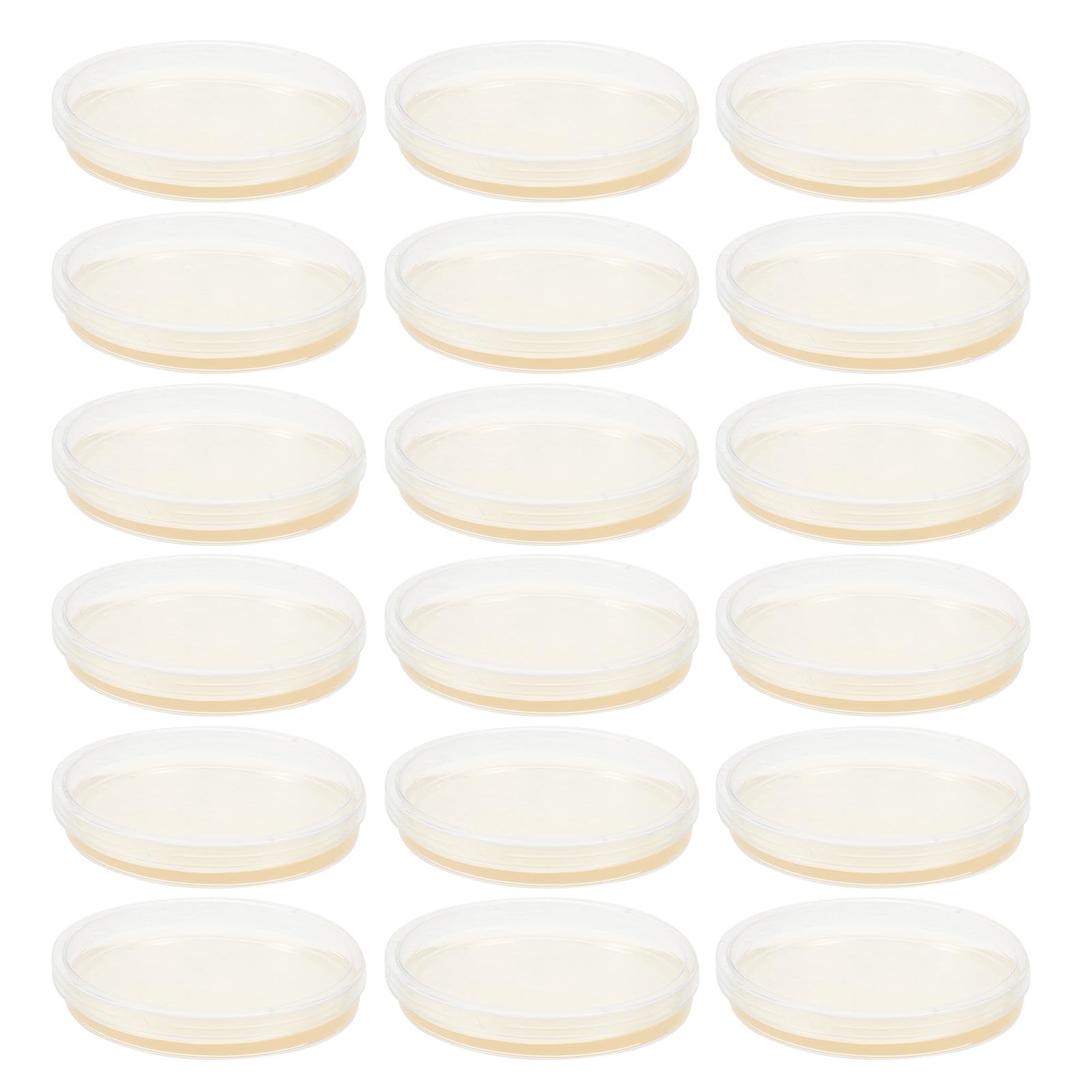 Genérico Placas de Petri de Plástico Estériles Pre-Vertidas Agar Nutritivo Lb de 9 CM, 20 Piezas para Cultivo de Hongos y Uso en Laboratorio Educativo