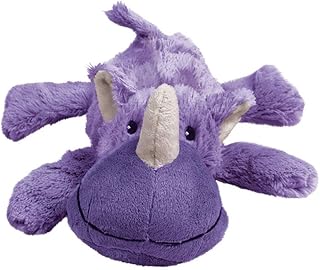 cozie kong