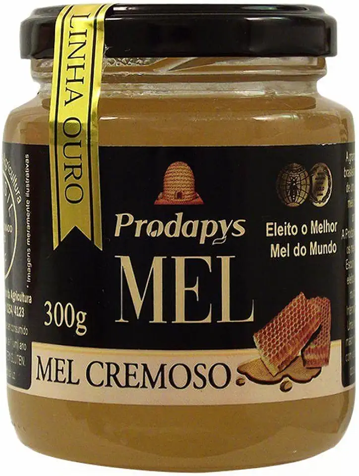 O Melhor Mel do Mundo Prodapys - Cremoso - Pote de Vidro 300g + Super