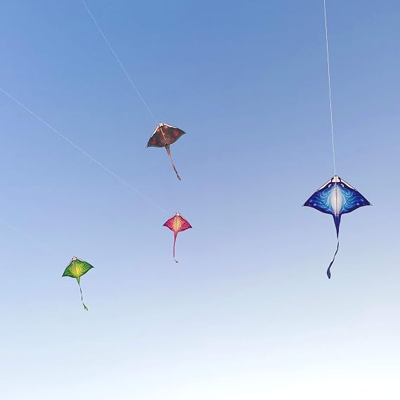 Mint's Colorful Life Devil Fish Kite for Kids and Adults,Easy to Fly Delta Kites Single Line Large, 300ft Kite String Handle Include