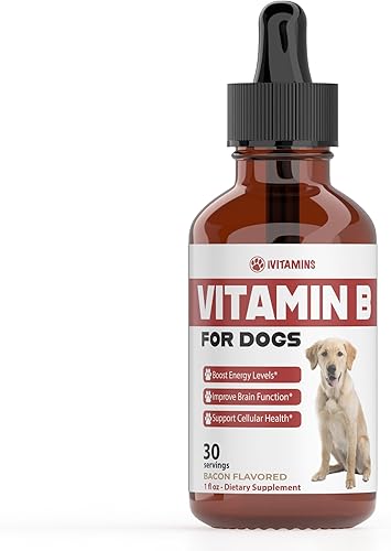Vitamina B para perros Complejo de vitamina B para perros Vitamina B12 para perros Vitaminas para perros Vitaminas B12 para perros Suplementos