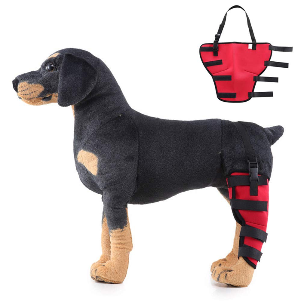 Attelle pour chien avec arthrose soulagement patte gauche rouge M