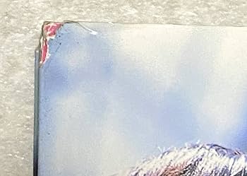 Amazon.co.jp: G5/ 佐久間信子 直筆サイン入り 写真集 「つま