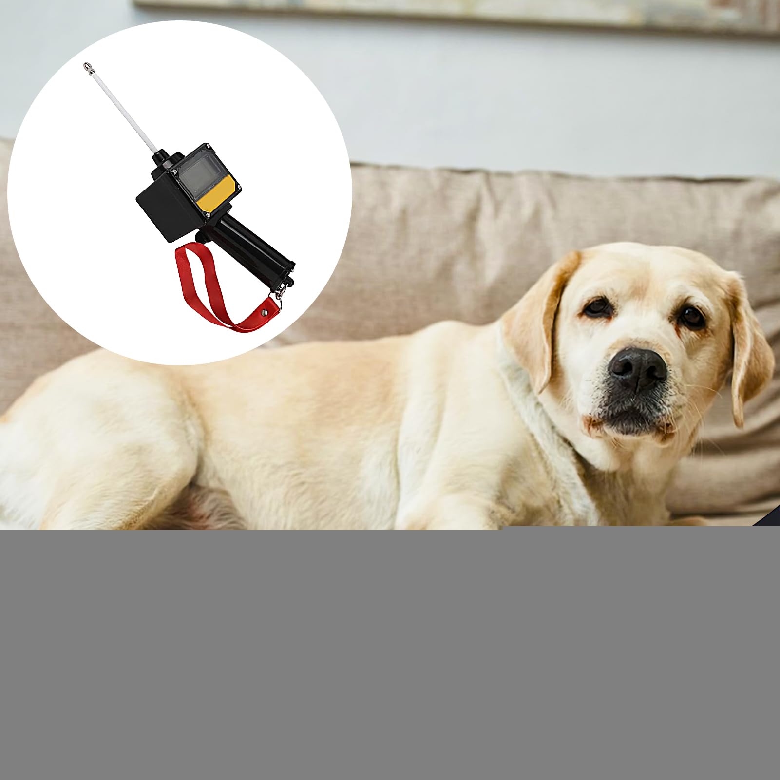 Test Di Ovulazione Per Cani Test Di Gravidanza Canina Con Sonda Magnetica | Rilevatore Ovulazione Impermeabile Con Laccetto Alimentato A Batteria Allevamento Cani Per Allevamenti E Casa