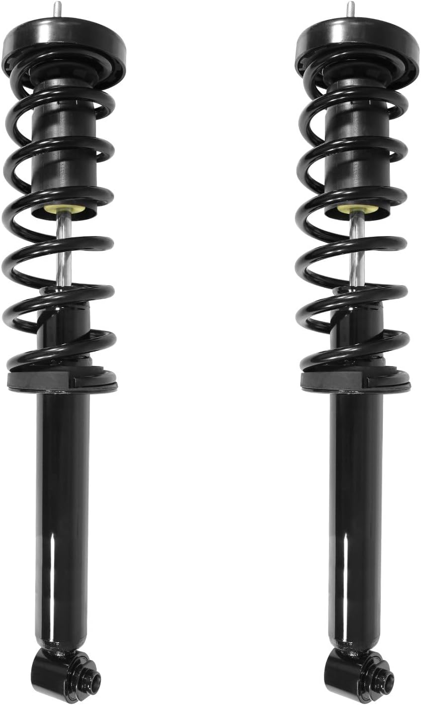 COMPLETESTRUTS Rear Quick Complete Strut Assemblies with Coil Springs Replacement for 1998-2003 BMW 540i E39 - Set of 2
