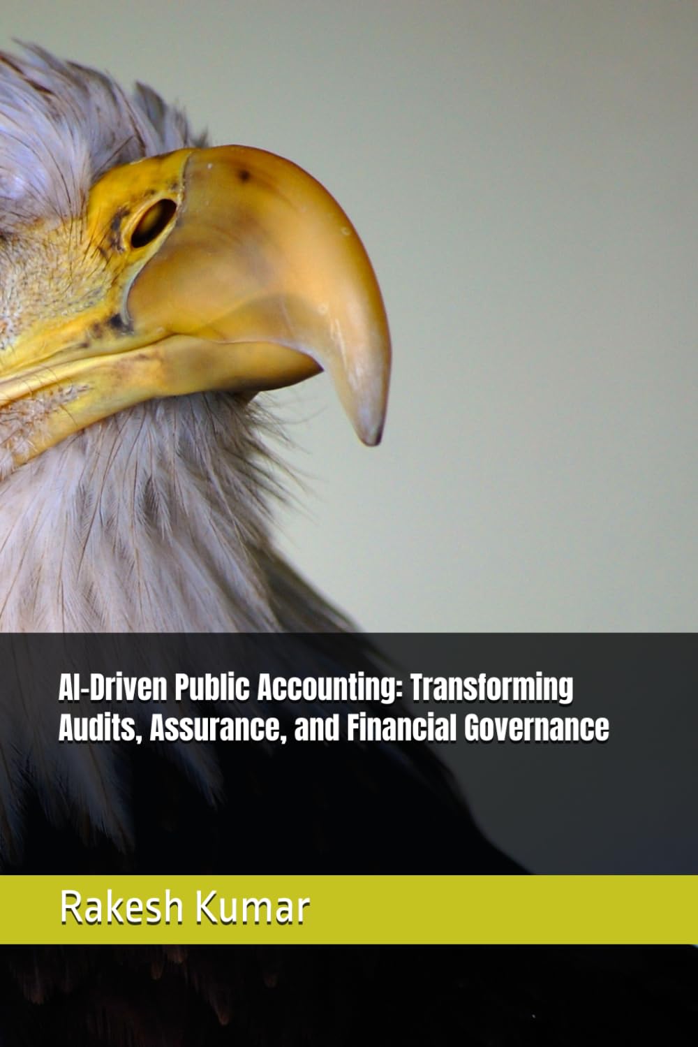 AI-Driven Public Accounting: Transforming Audits, Assurance, and Financial Governance