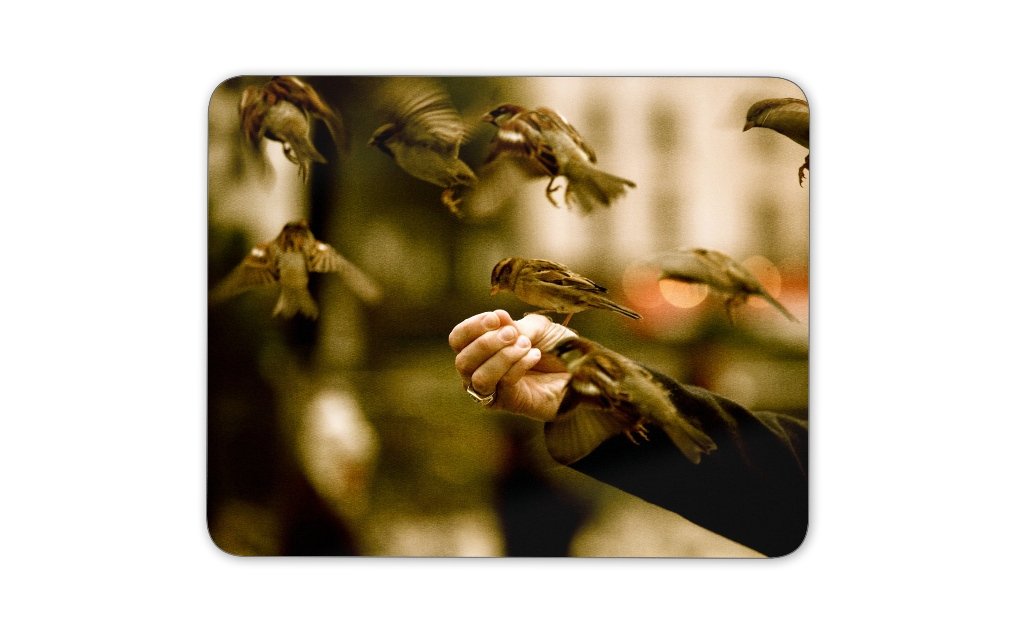 Digiclan Bird Feeder Mousepad