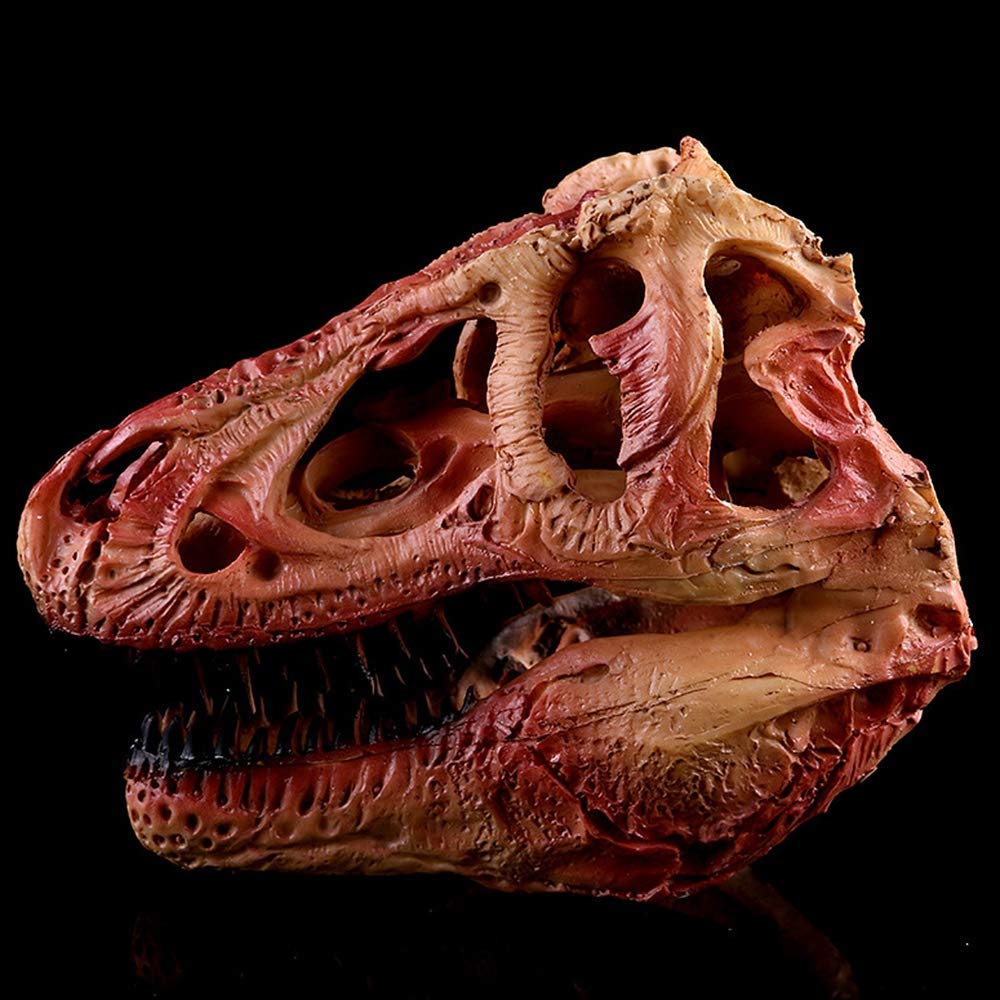 Cráneo De Tiranosaurio Réplica De Cráneo De Dinosaurio Artesanías De Resina Cráneo De Animal Modelo De Esqueleto De Enseñanza Fósil Artesanía De Cráneo De Resina Estatua De Esqueleto De Dinosaurio Pa