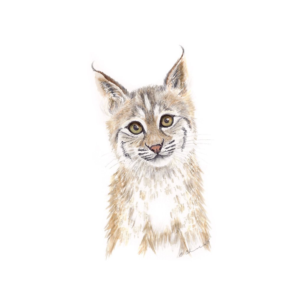 Baby Bobcat Watercolor Nursery Wall Art Available In Various Sizes, Woodland Nursery Art, Black, White - Various Sizes Available