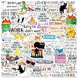 Thrist Funny Stickers for Adults - 200PCS Sarcastic Stickers for Books Water Bottles Laptop Phone Guitar Luggage Funny Water Bottles Sticker for Teens Adults Women Men