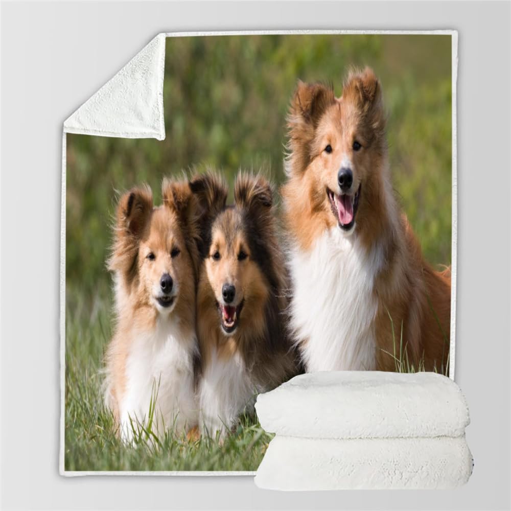 3D Owczarek szetlandzki Koc dla niemowląt Puszysty Flanelowy Koc Uroczy Szczeniak Koc Miękki i Ciepły Koc 70 x 100 cm Kocyk dziecięcy Pieczęć Dziecięca